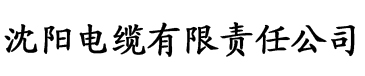 香蕉网伊人久久电缆厂logo